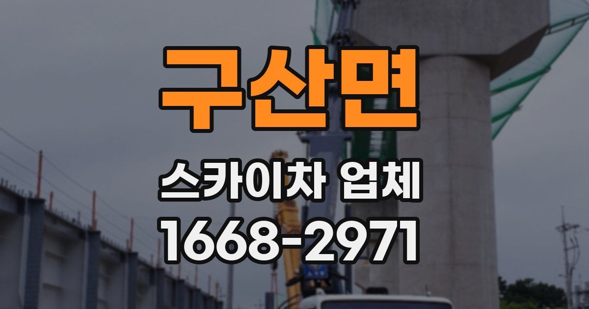 구산면 스카이차 업체