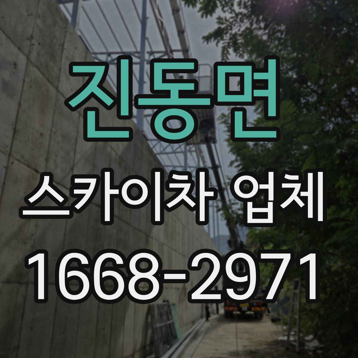 진동면 스카이차 업체