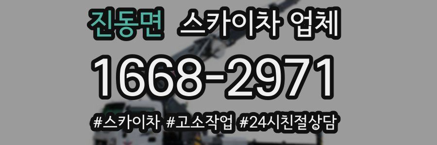 진동면 스카이차 업체