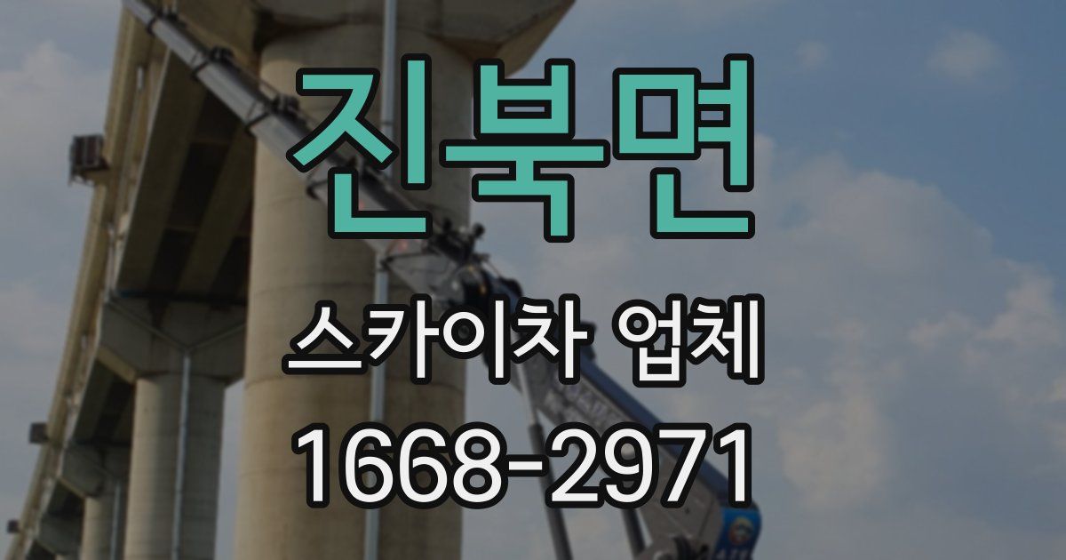 진북면 스카이차 업체