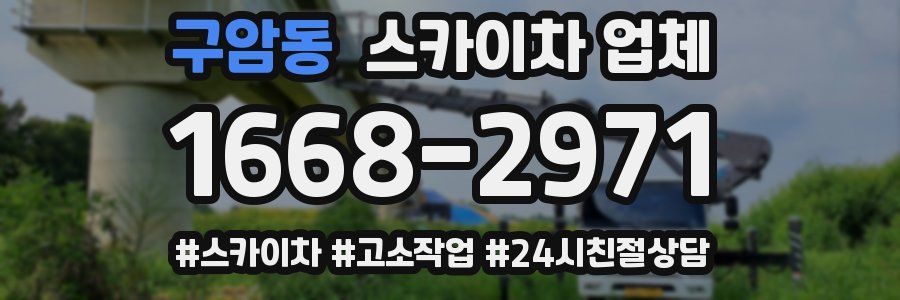 구암동 스카이차 업체