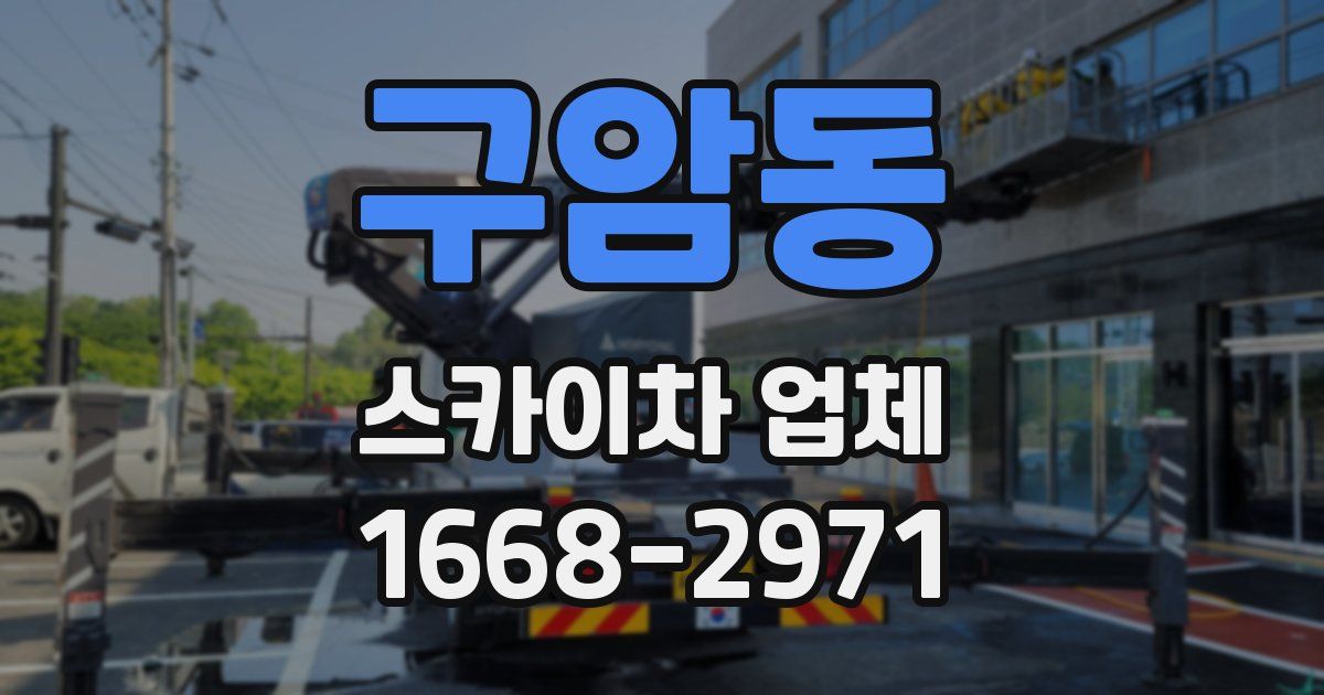 구암동 스카이차 업체