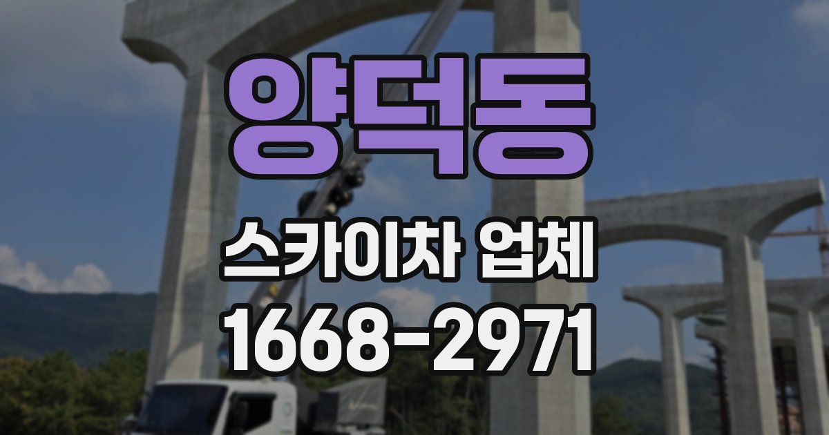 양덕동 스카이차 업체