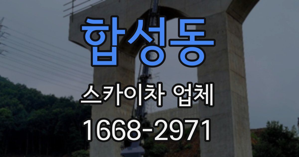 합성동 스카이차 업체