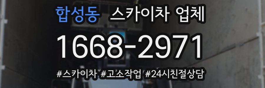 합성동 스카이차 업체