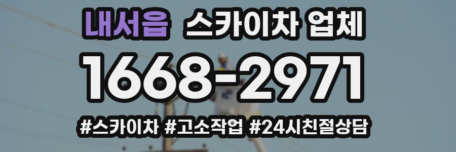 내서읍 스카이차 업체