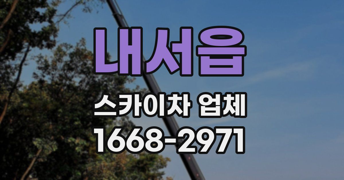내서읍 스카이차 업체