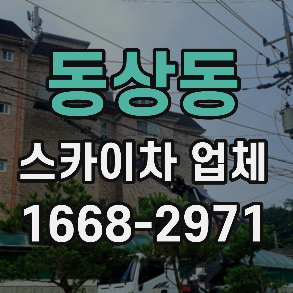 동상동 스카이차 업체