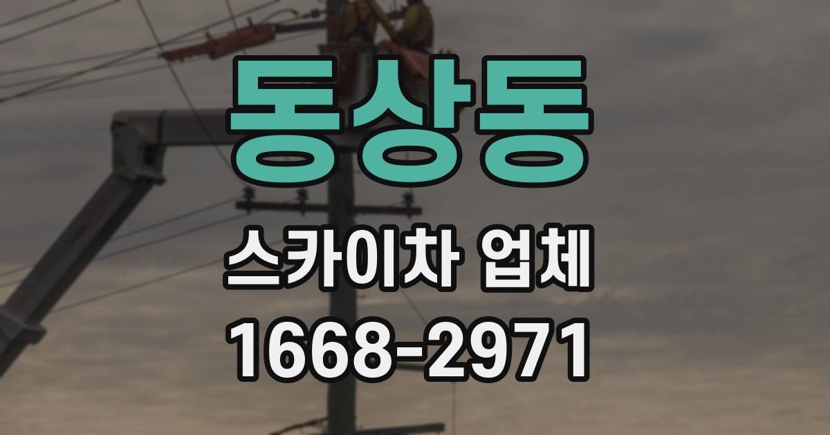 동상동 스카이차 업체