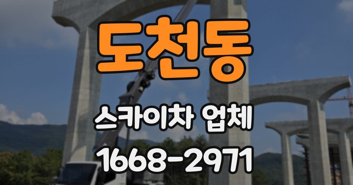 도천동 스카이차 업체