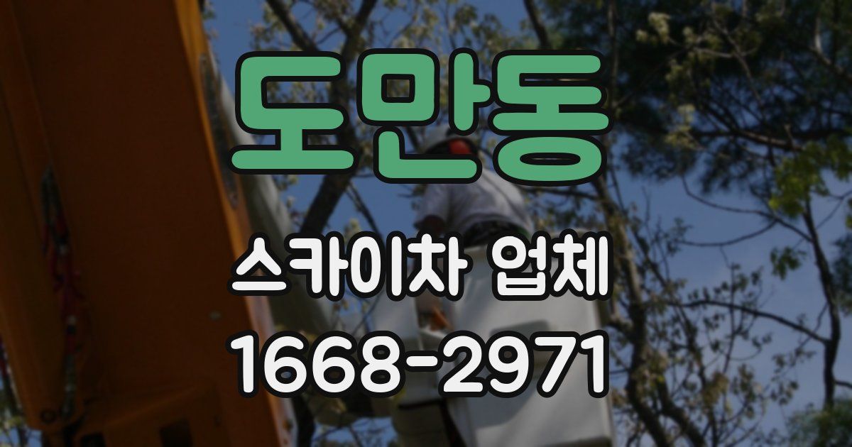 도만동 스카이차 업체