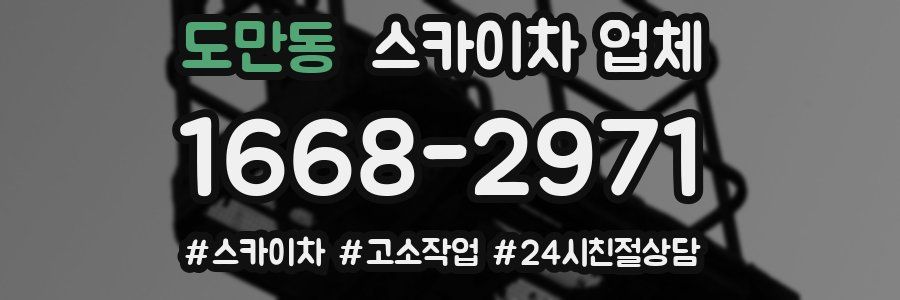 도만동 스카이차 업체