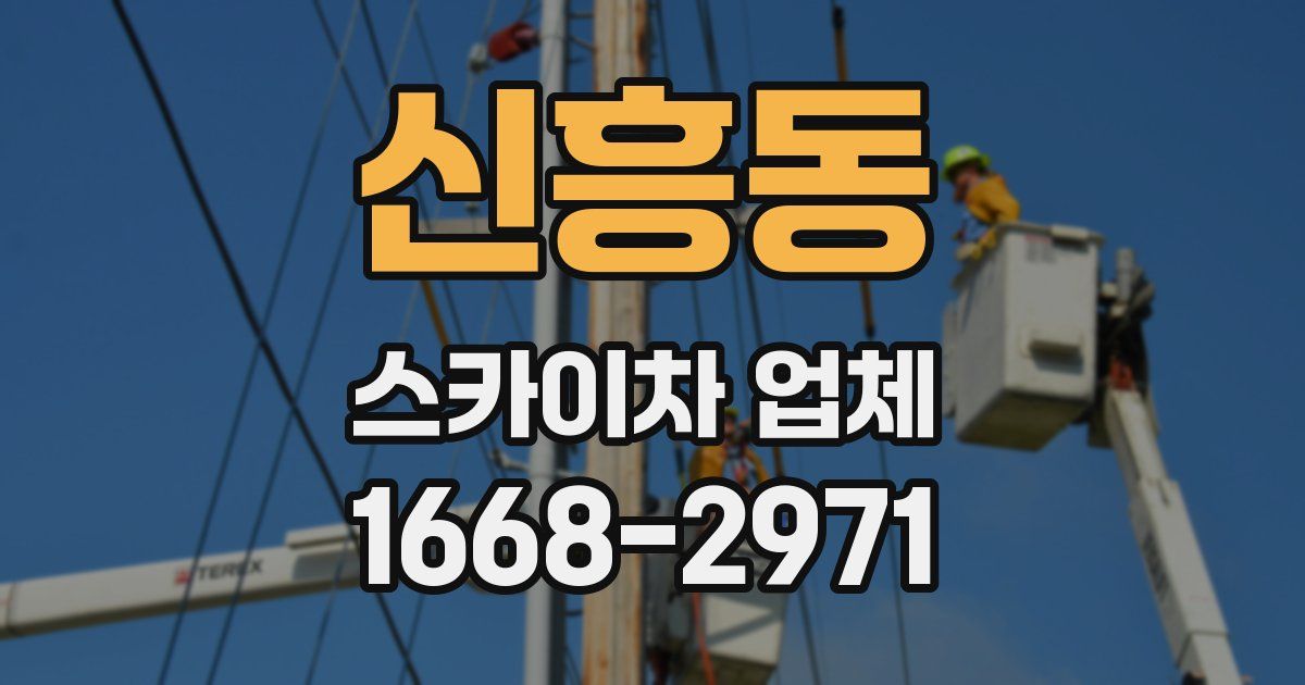 신흥동 스카이차 업체