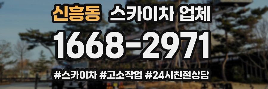 신흥동 스카이차 업체