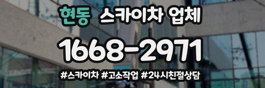 현동 스카이차 업체