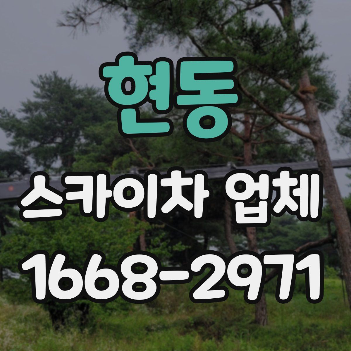 현동 스카이차 업체