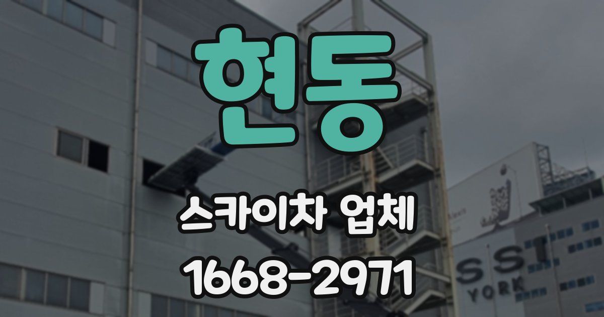현동 스카이차 업체