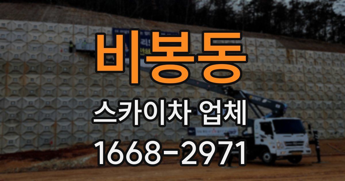 비봉동 스카이차 업체