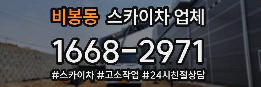 비봉동 스카이차 업체