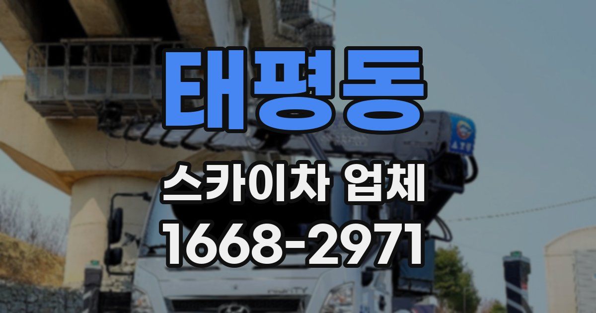 태평동 스카이차 업체
