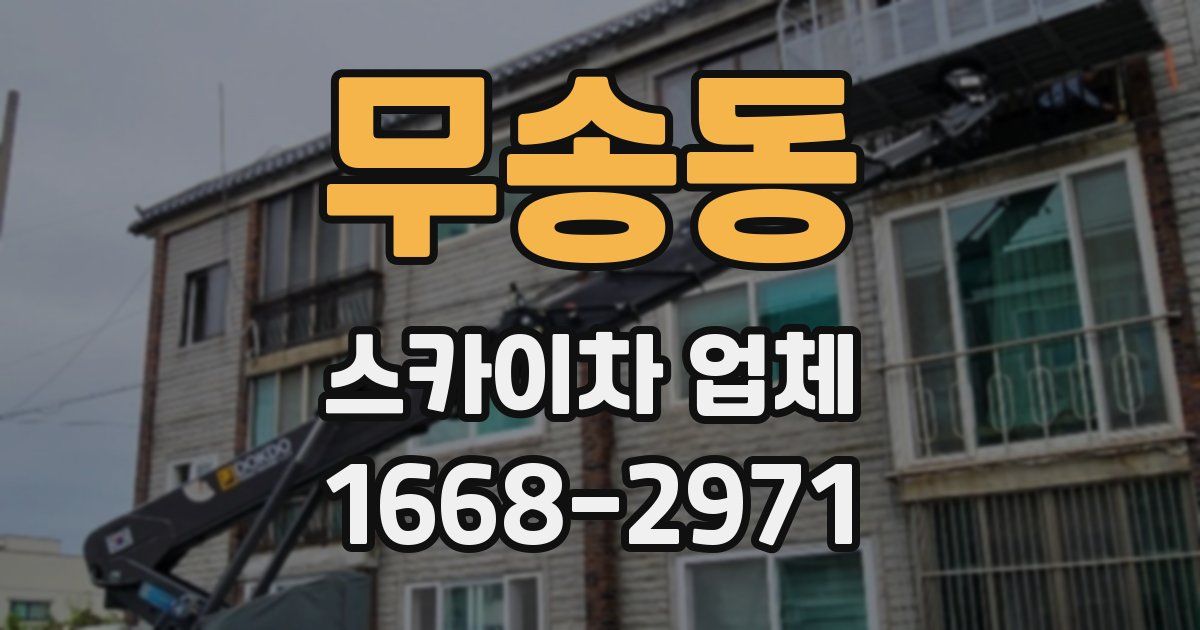 무송동 스카이차 업체
