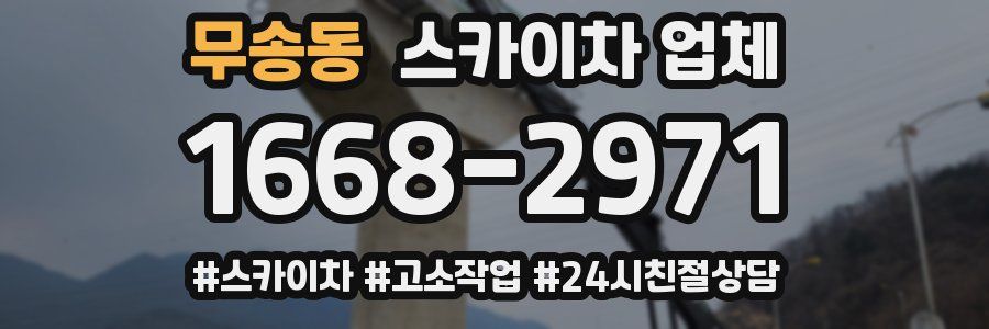 무송동 스카이차 업체