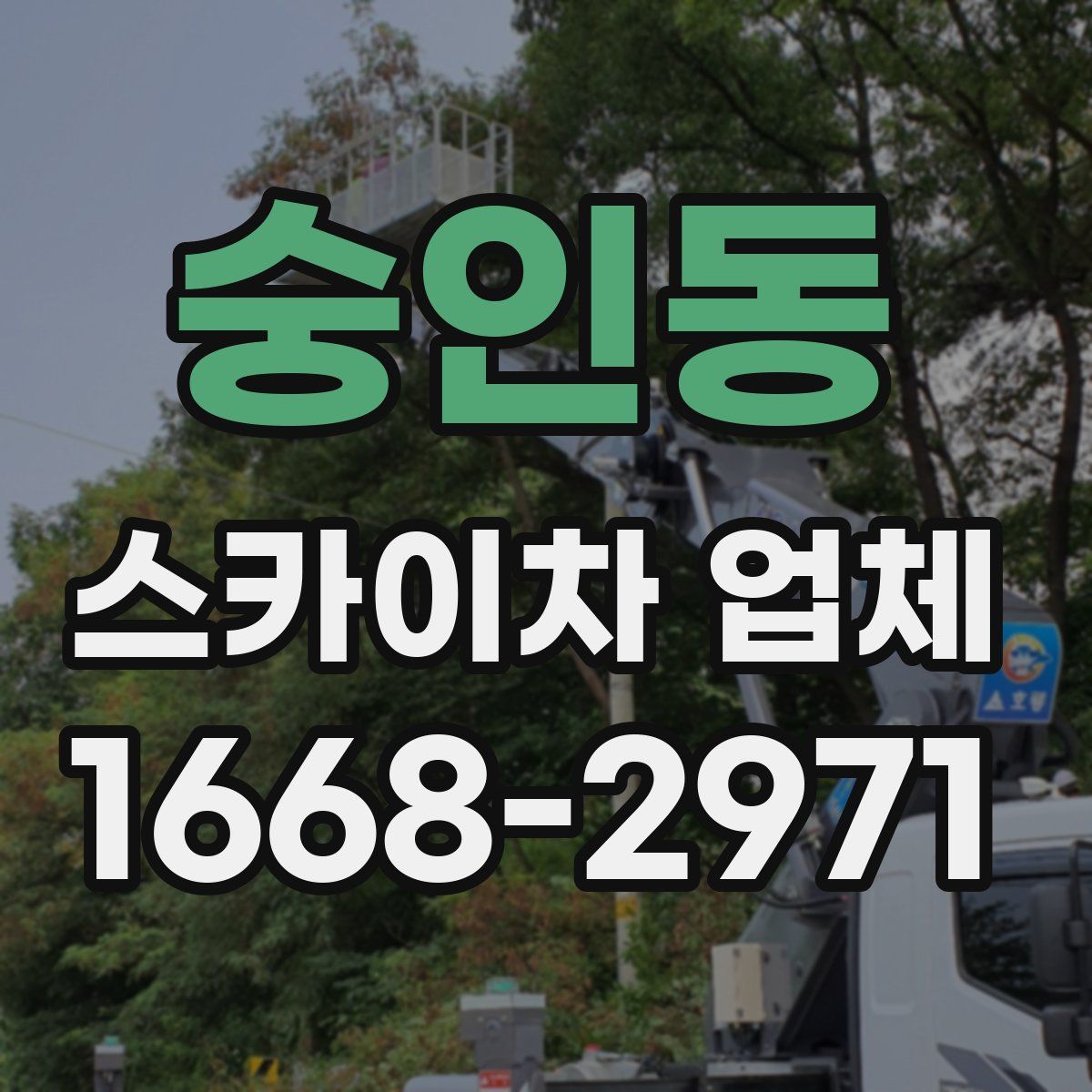 숭인동 스카이차 업체
