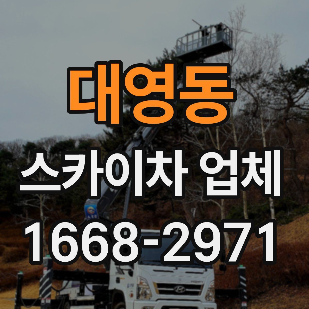 대영동 스카이차 업체