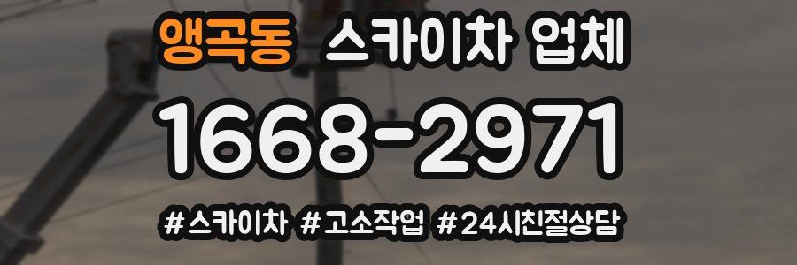 앵곡동 스카이차 업체
