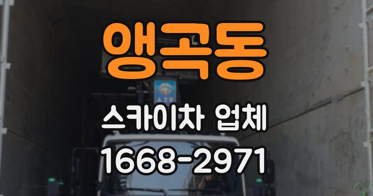 앵곡동 스카이차 업체