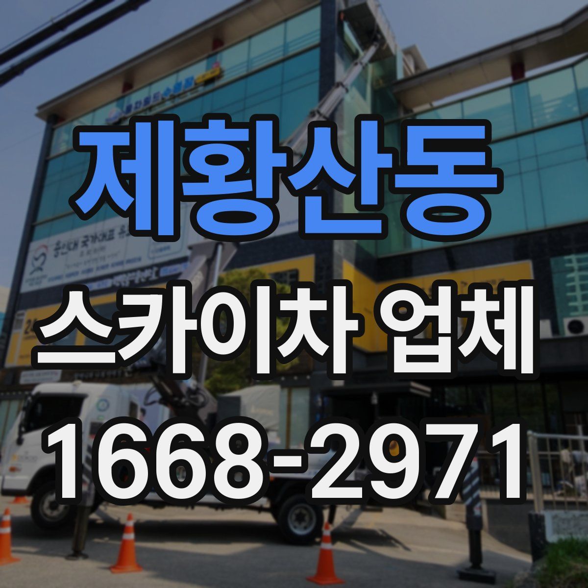 제황산동 스카이차 업체