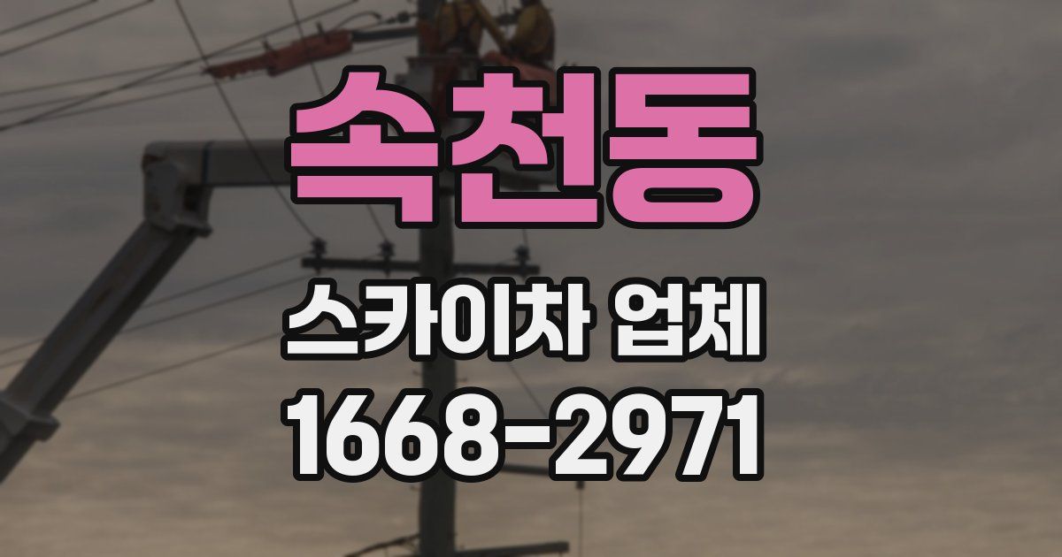 속천동 스카이차 업체