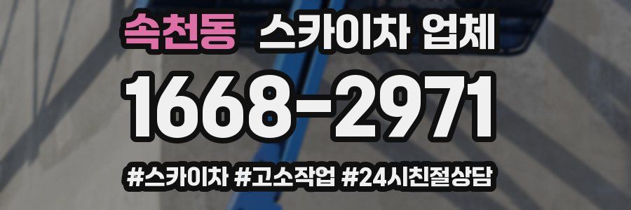 속천동 스카이차 업체