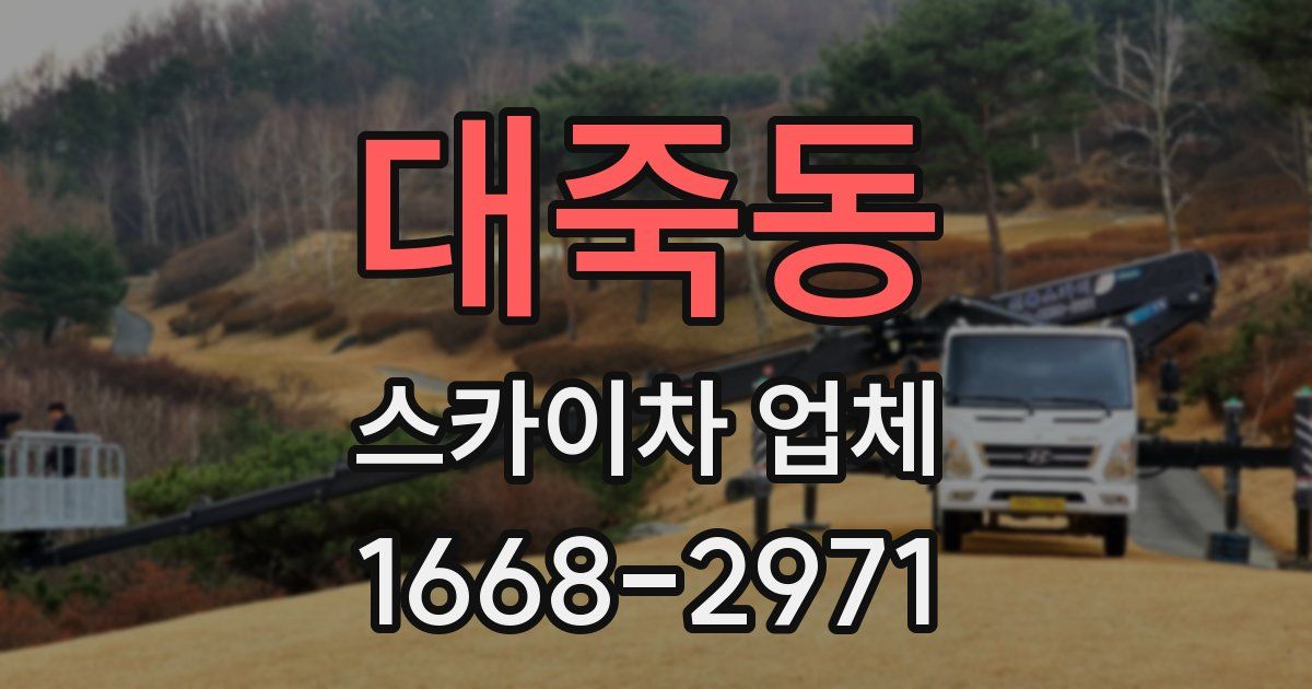 대죽동 스카이차 업체