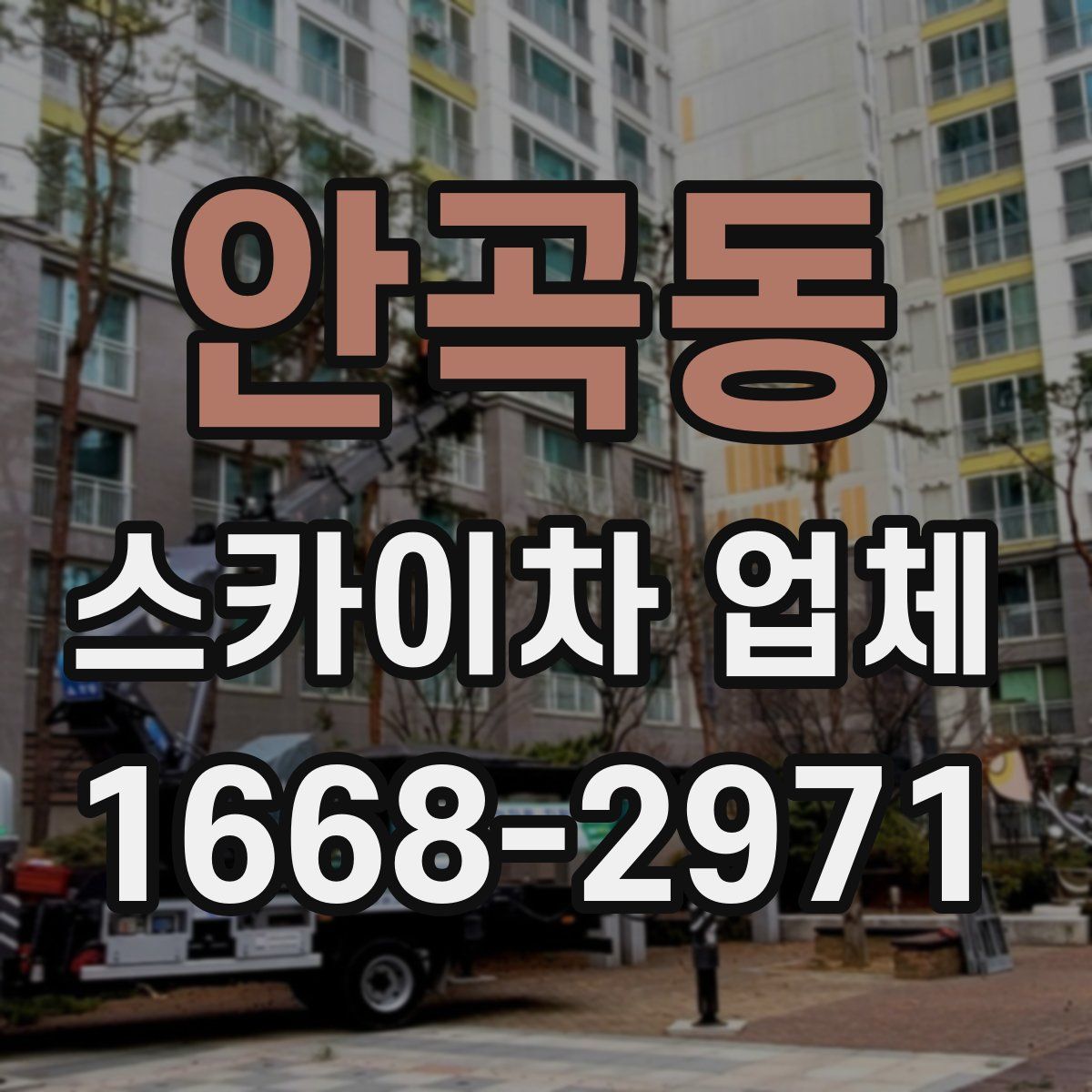 안곡동 스카이차 업체