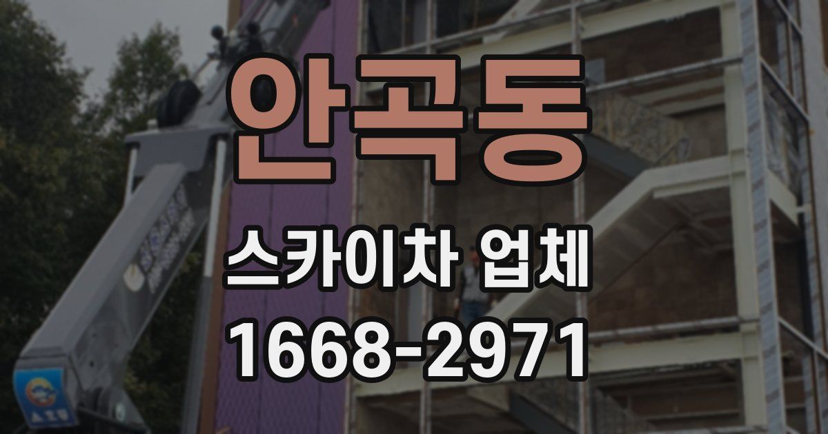안곡동 스카이차 업체