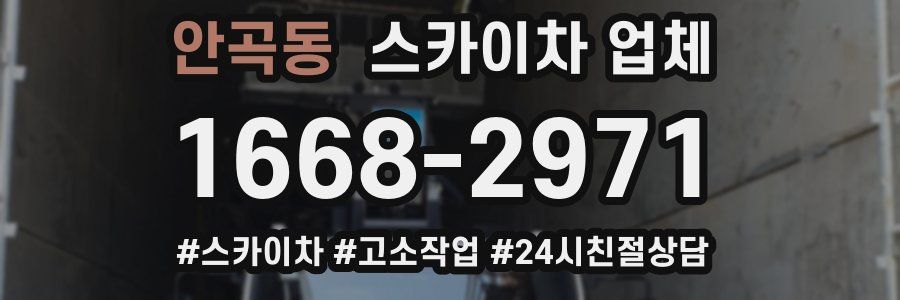 안곡동 스카이차 업체