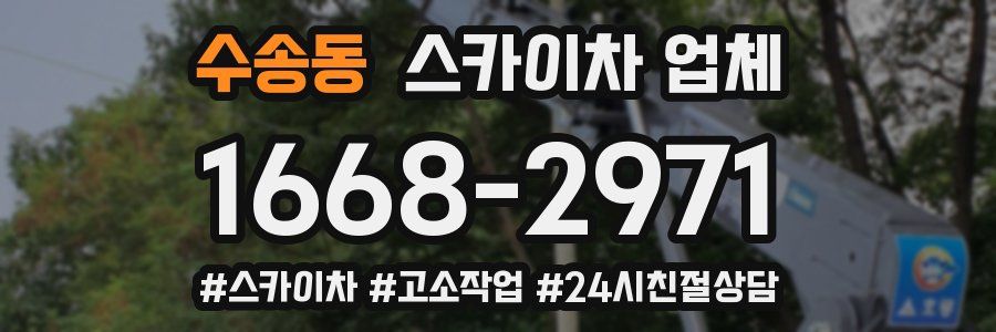 수송동 스카이차 업체