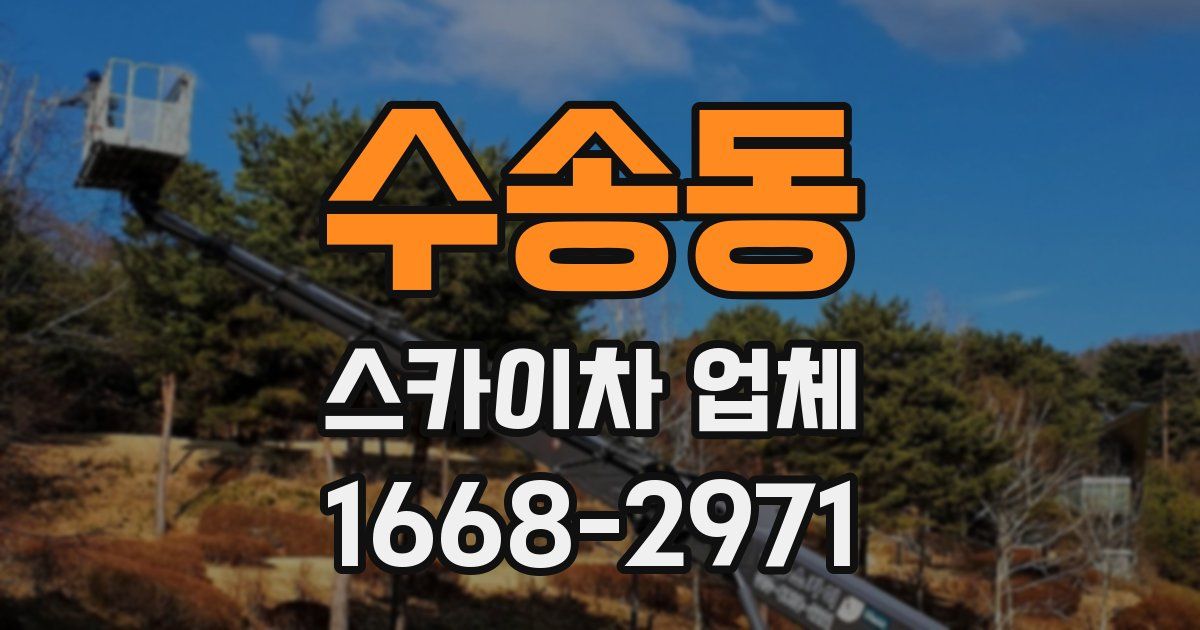 수송동 스카이차 업체