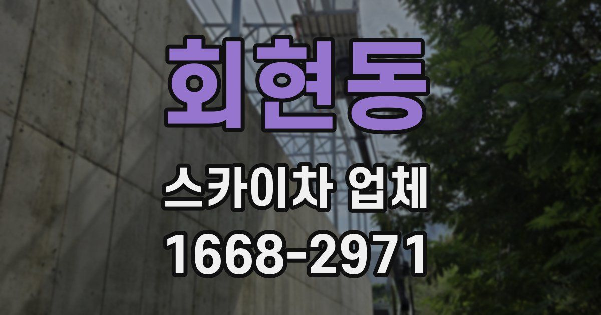 회현동 스카이차 업체