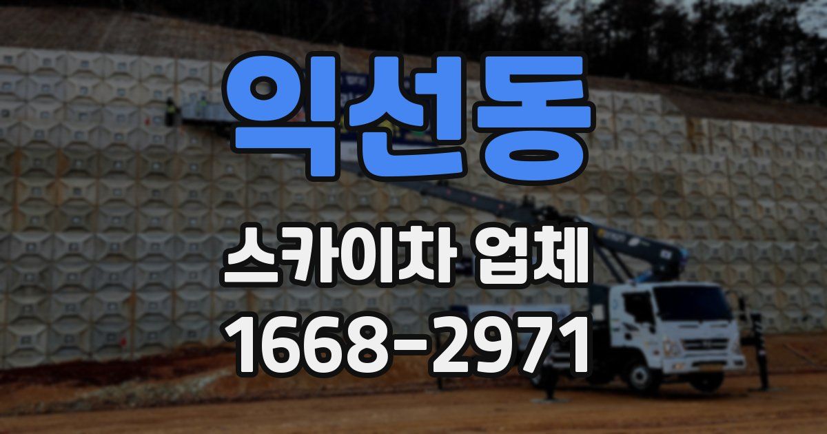 익선동 스카이차 업체