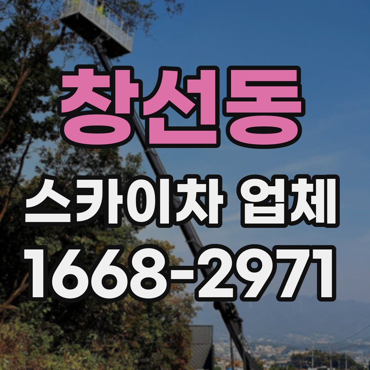 창선동 스카이차 업체