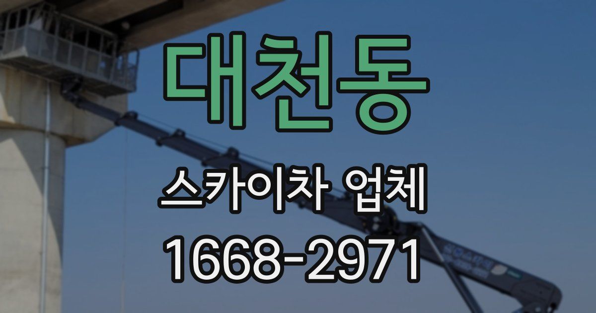 대천동 스카이차 업체