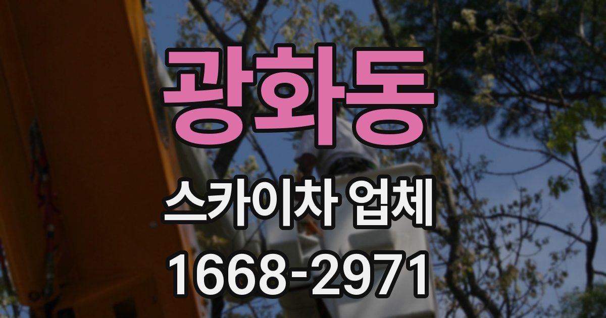 광화동 스카이차 업체