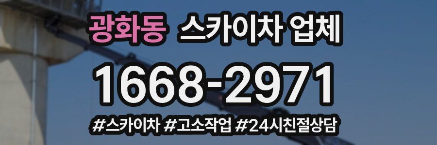 광화동 스카이차 업체