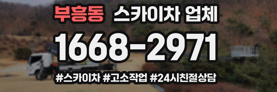 부흥동 스카이차 업체