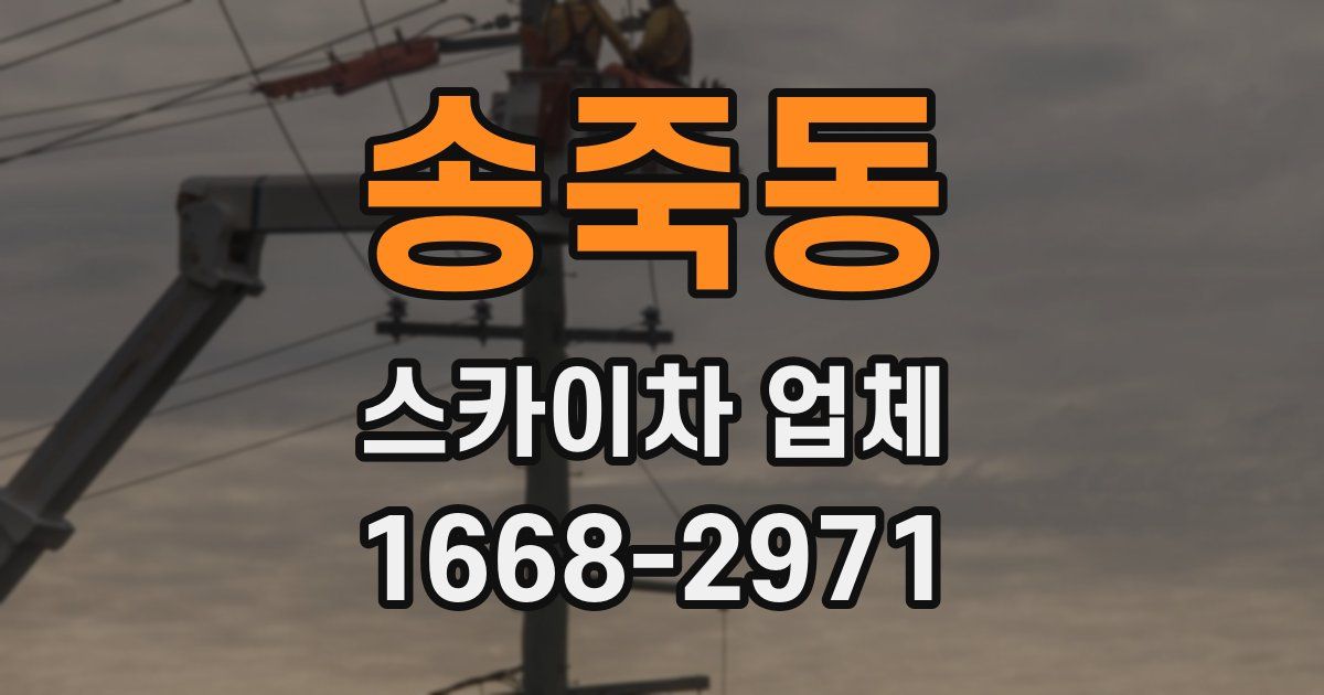 송죽동 스카이차 업체