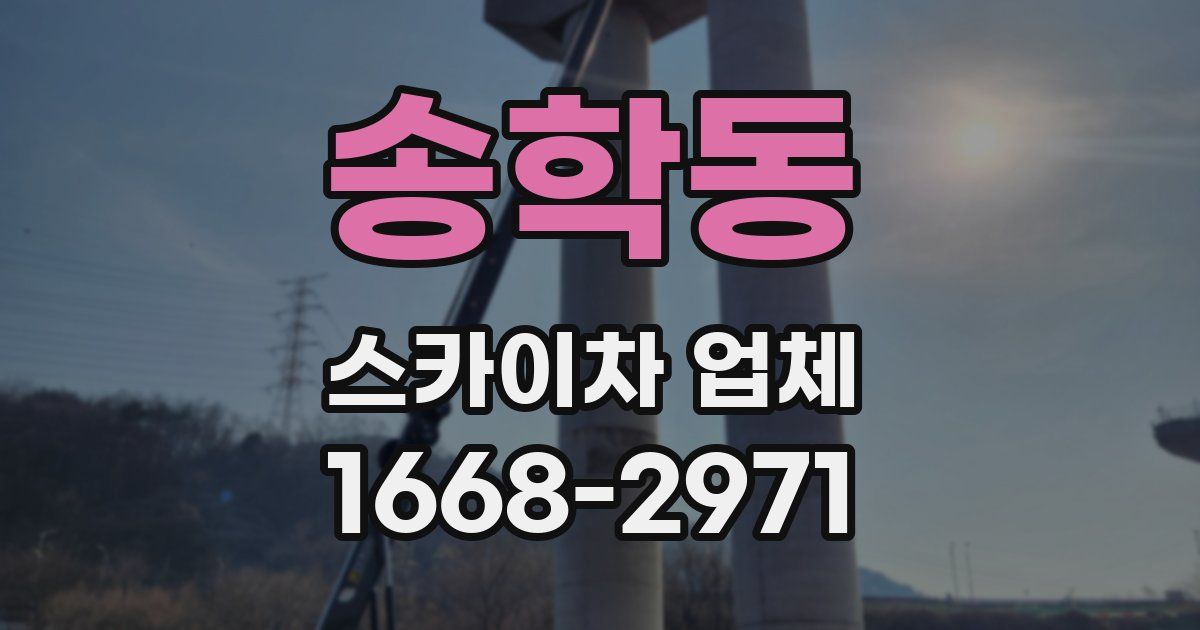 송학동 스카이차 업체