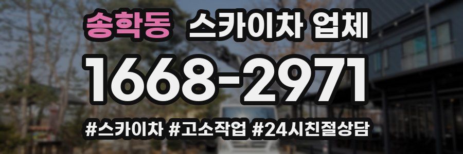 송학동 스카이차 업체