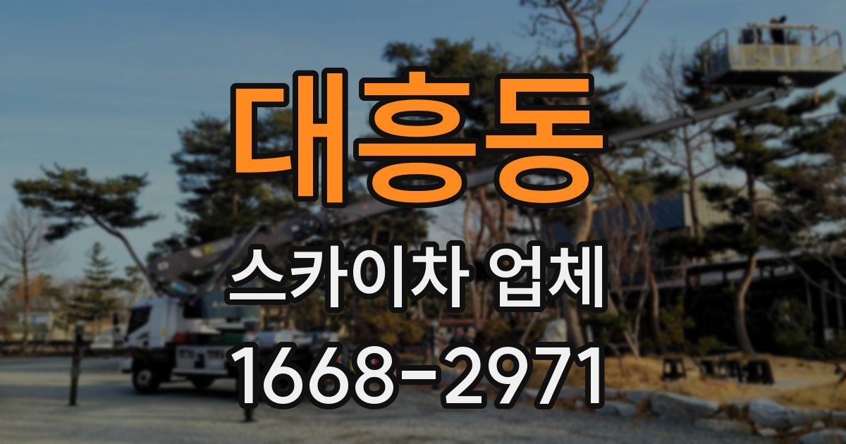 대흥동 스카이차 업체